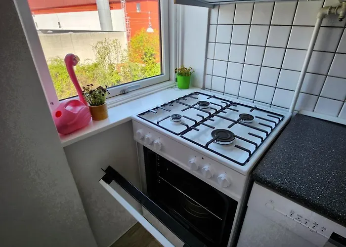 With Free Parking Close To Downtown And Nature! *