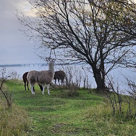 With Free Parking Close To Downtown And Nature!